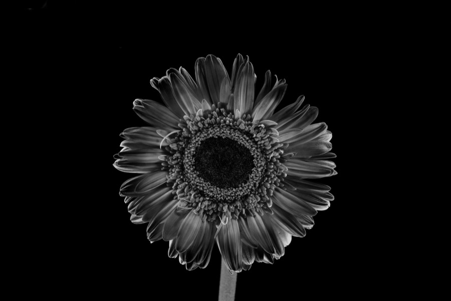 Photography projects by Javier Siriani