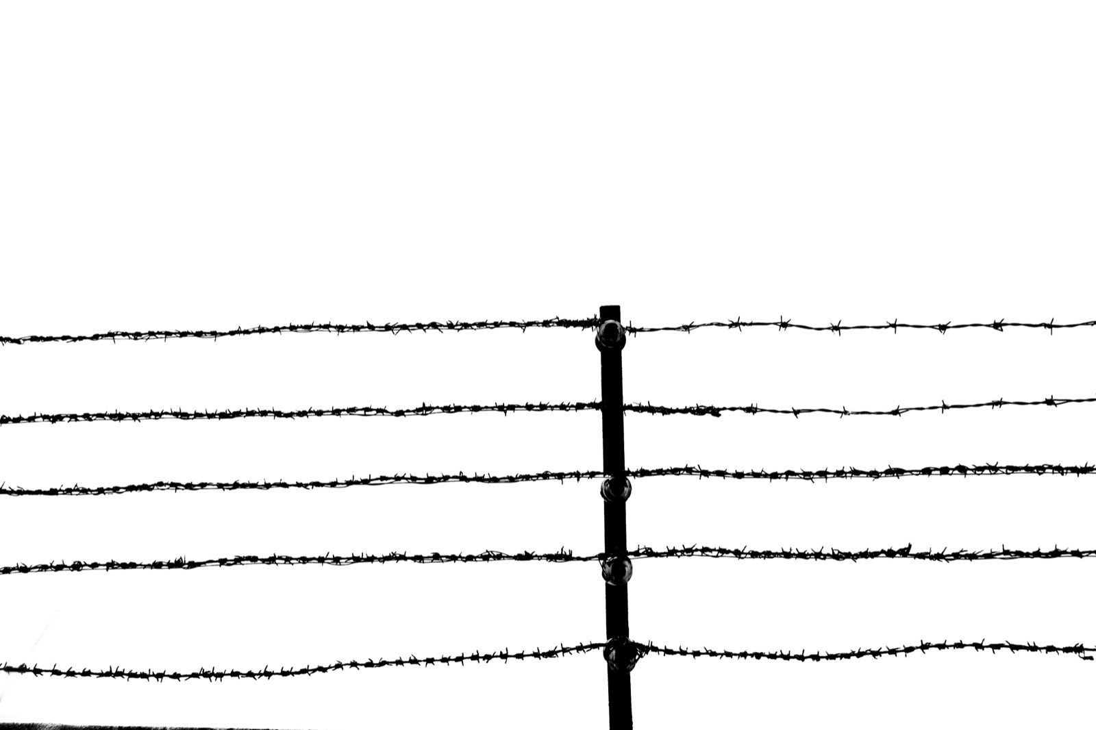 Mauthausen. 2