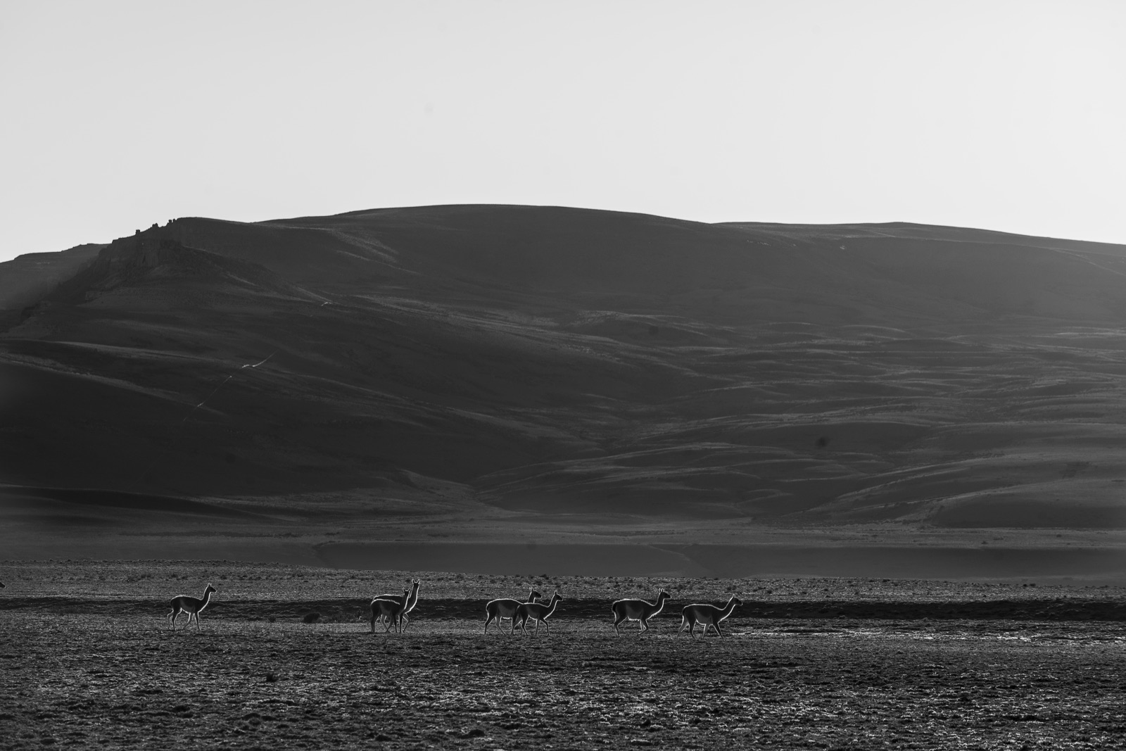 Patagonia. 3