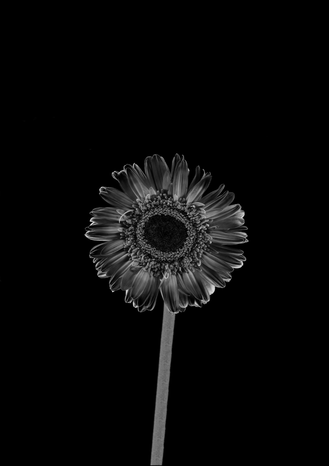 Simplicity. 3