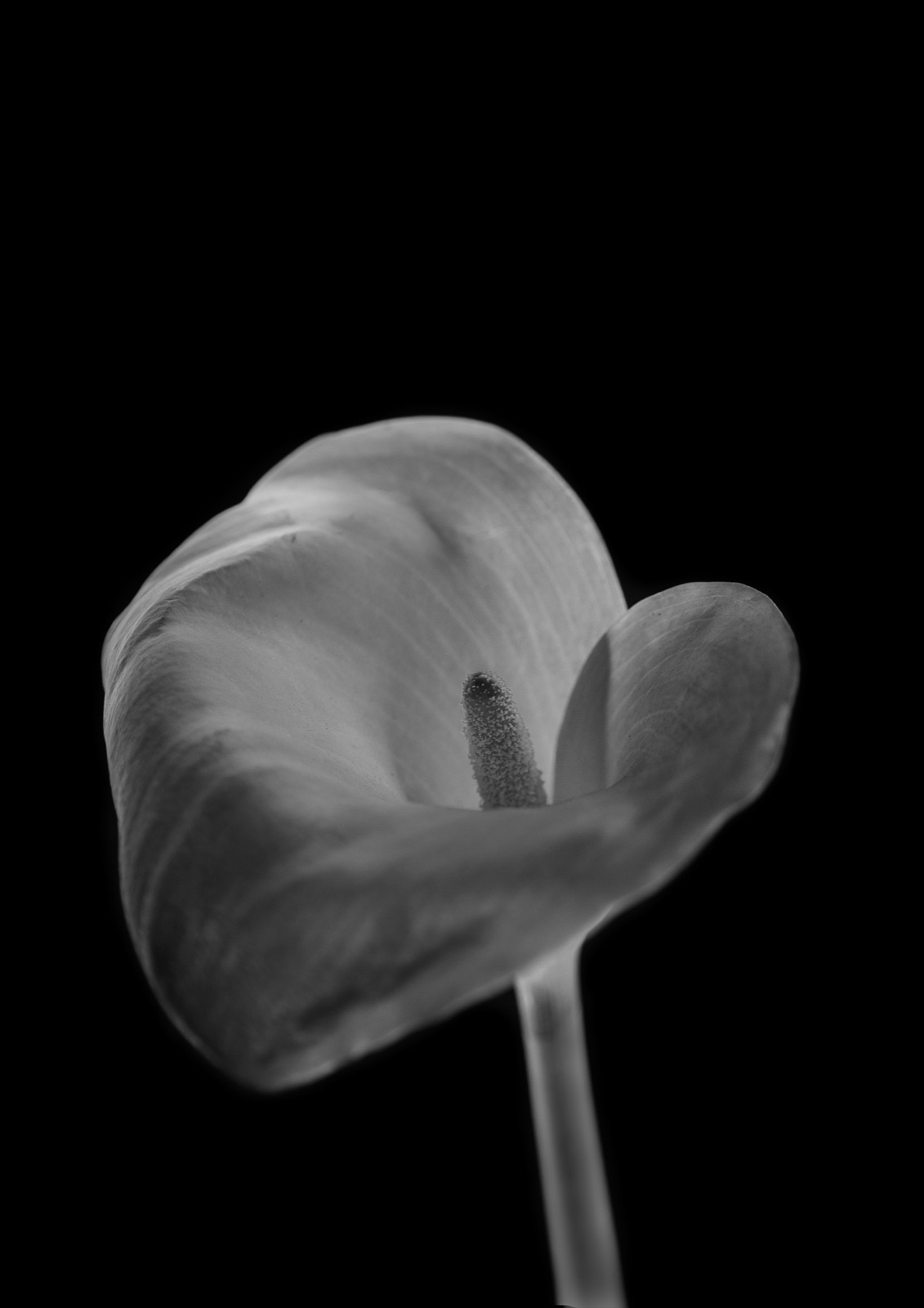 Simplicity. 9